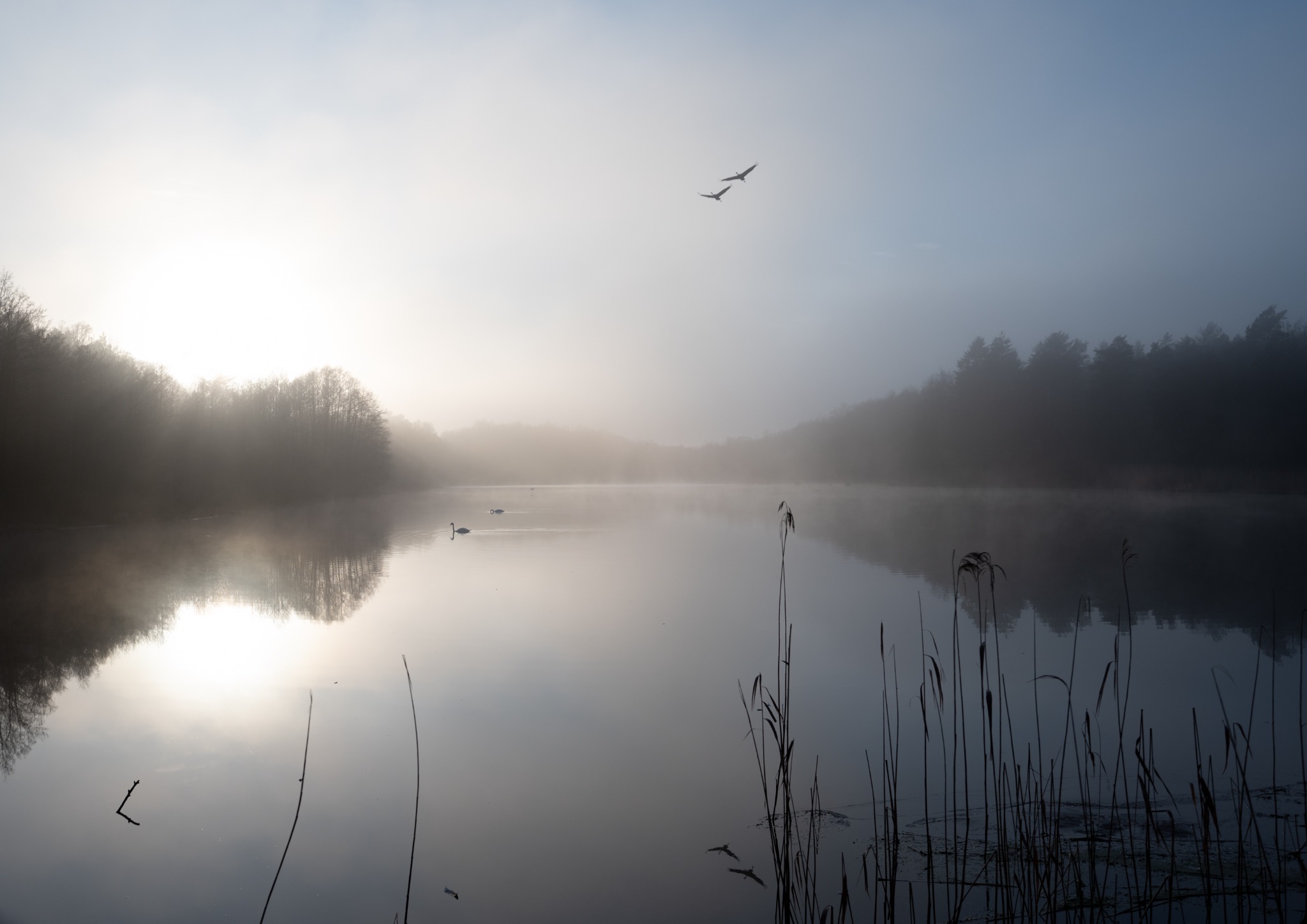 Natur
